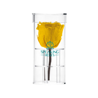 Acrisse One - Funeral Collection