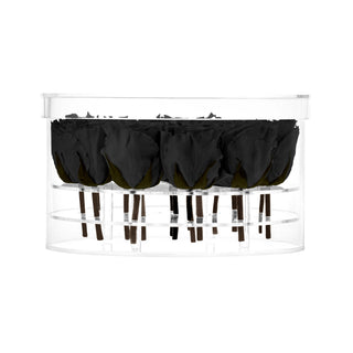 Acrisse Char - Funeral Collection