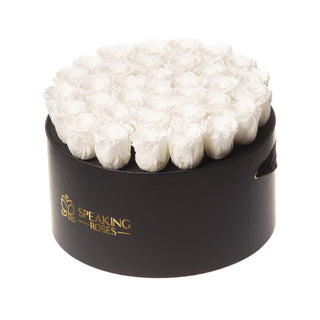 Domora Bloom  - Happy Birthday Collection