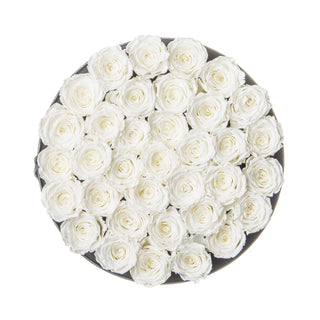 Domora Bloom  - Wedding Collection