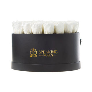 Domora Bloom  - Anniversary Collection