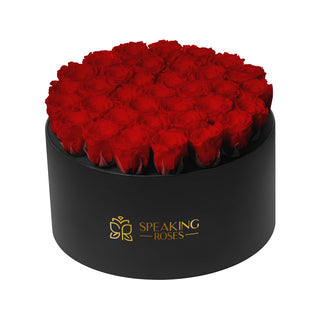 Domora Bloom  - Funeral Collection