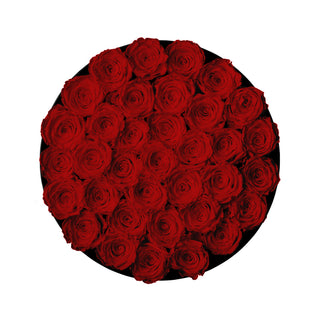 Domora Bloom - Romance Collection