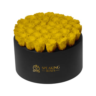 Domora Bloom  - Funeral Collection
