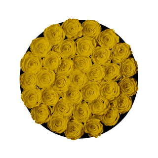 Domora Bloom - Romance Collection