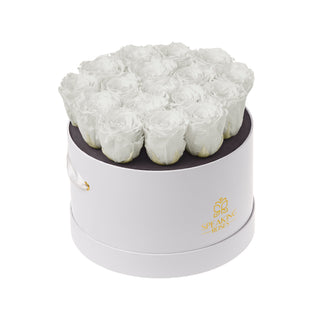 Magnaro Bloom - Romance Collection