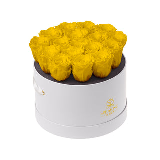 Magnaro Bloom - Romance Collection