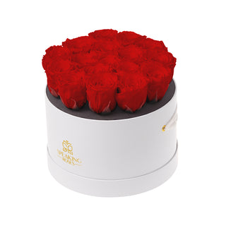 Magnaro Bloom - Romance Collection