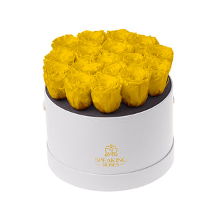 Magnaro Bloom - Funeral Collection