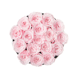 Magnaro Bloom - Anniversary Collection