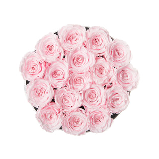 Magnaro Bloom - Happy Birthday Collection