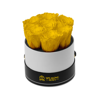 Noir Bloom - Funeral Collection