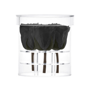 Acrisse Quo - Funeral Collection