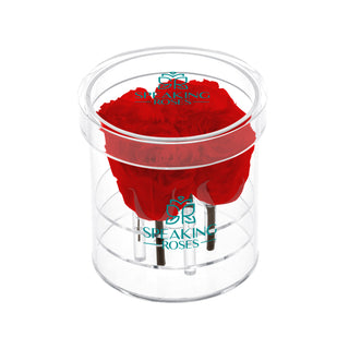 Acrisse Quo - Funeral Collection