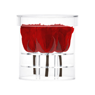 Acrisse Quo - Funeral Collection