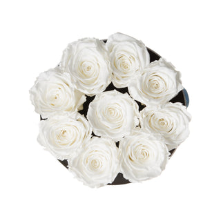 Orvini Bloom - Happy Birthday Collection