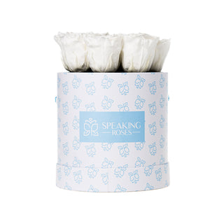 Orvini Bloom - Round Collection