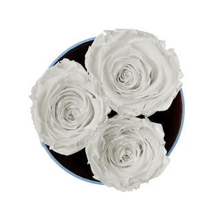 Trivelle Bloom  - Funeral Collection