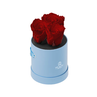 Trivelle Bloom  - Valentine's Day Collection