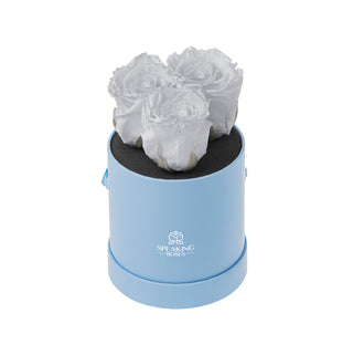 Trivelle Bloom  - Funeral Collection