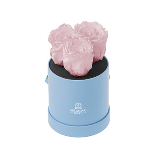 Trivelle Bloom  - Funeral Collection