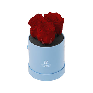 Trivelle Bloom  - Funeral Collection