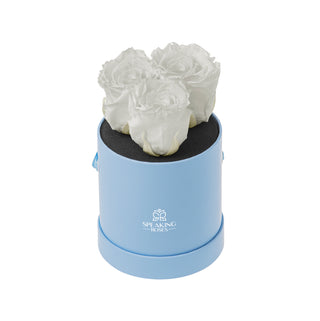 Trivelle Bloom  - Funeral Collection