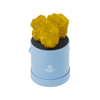 Trivelle Bloom  - Funeral Collection