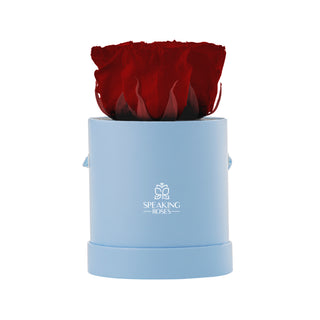 Trivelle Bloom  - Funeral Collection