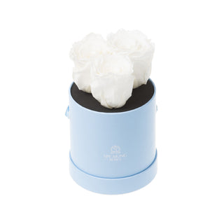 Trivelle Bloom  - Happy Birthday Collection
