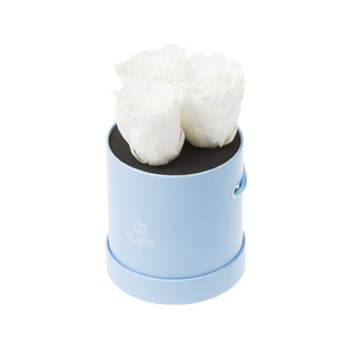 Trivelle Bloom  - Wedding Collection