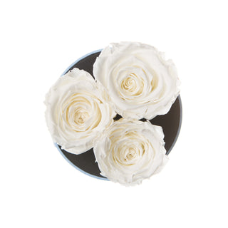 Trivelle Bloom  - Romance Collection