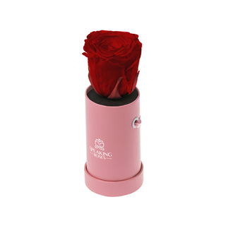 Solo Bloom - Valentine's Day Collection