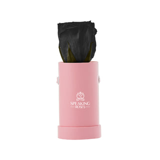 Solo Bloom - Funeral Collection