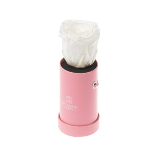 Solo Bloom - Wedding Collection