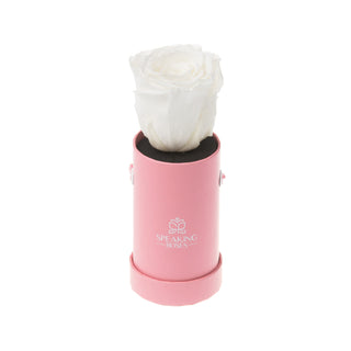 Solo Bloom - Round Collection