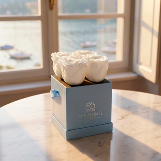 Sovelle OXS  - Valentine's Day Collection