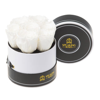 Noir Bloom - Round Collection