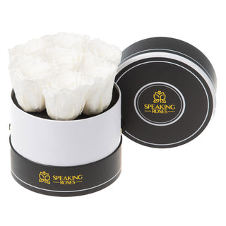Noir Bloom - Round Collection
