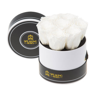 Noir Bloom - Round Collection