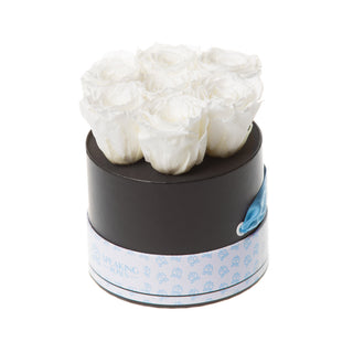 Azure Bloom - Wedding Collection
