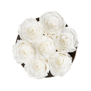 Azure Bloom - Anniversary Collection