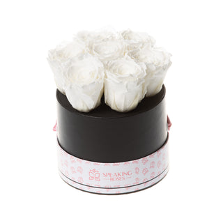 Blush Bloom - Romance Collection