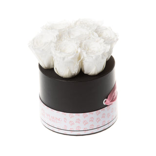 Blush Bloom - Wedding Collection