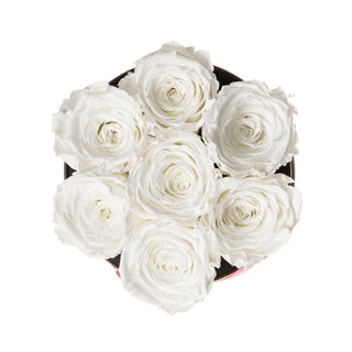 Blush Bloom - Happy Birthday Collection