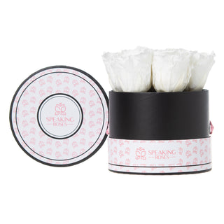 Blush Bloom - Happy Birthday Collection