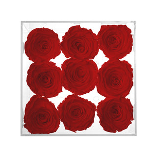 Luxara Nue - Funeral Collection