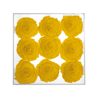 Luxara Nue - Funeral Collection