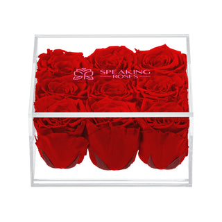 Equoria V09 - Funeral Collection