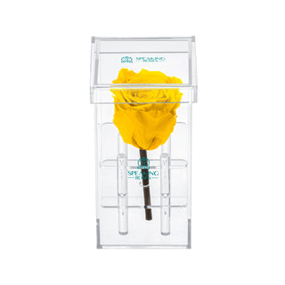Luxara Uno - Funeral Collection